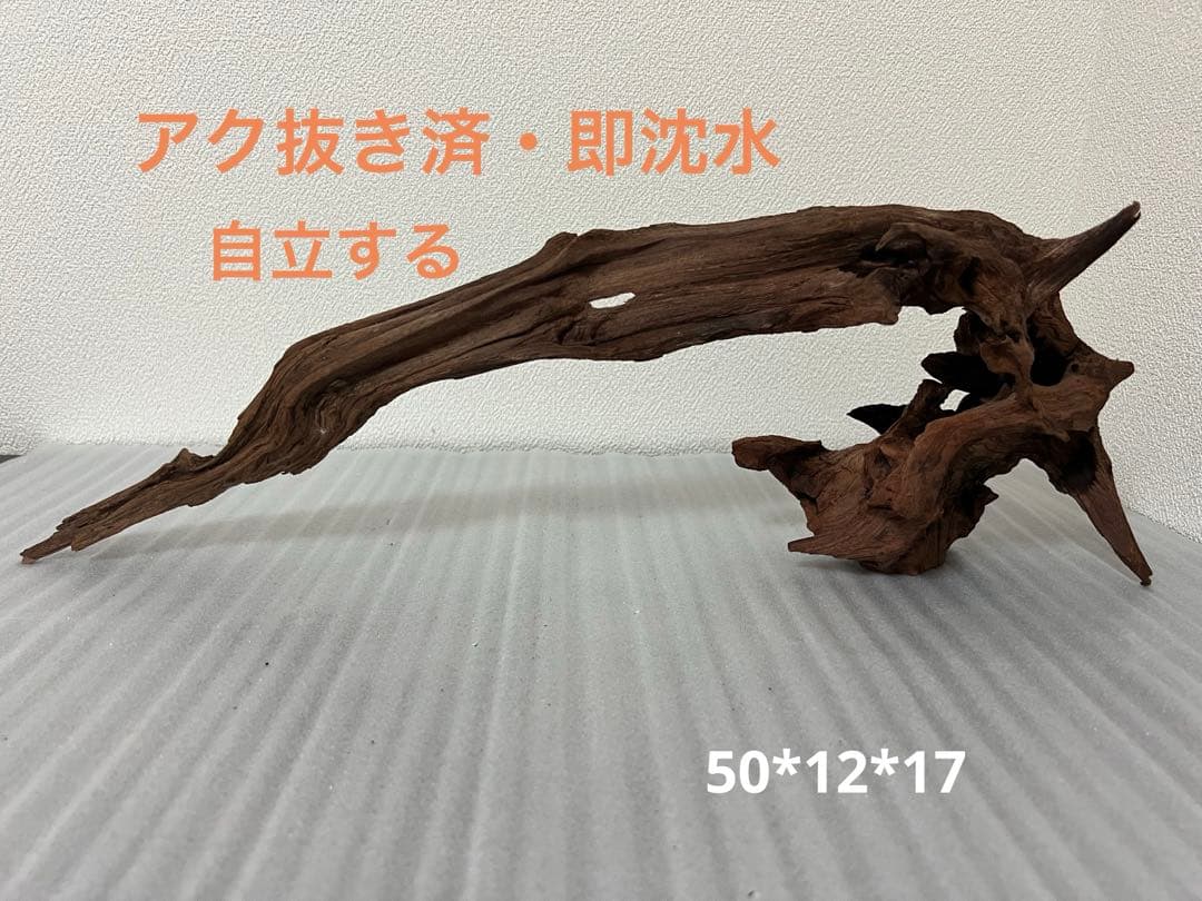 HX-097 流木　マシンガンウッド　ホーンウッド アクアリウム　ブランチウッド