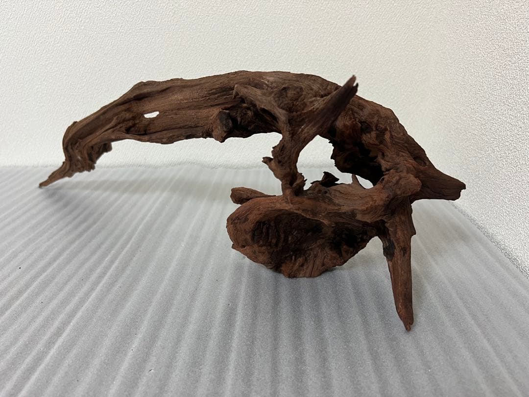 HX-097 流木　マシンガンウッド　ホーンウッド アクアリウム　ブランチウッド