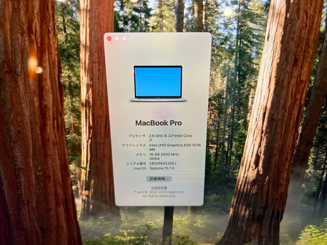 MacBook Pro 15インチ2019 Core i7 16GB 500GB