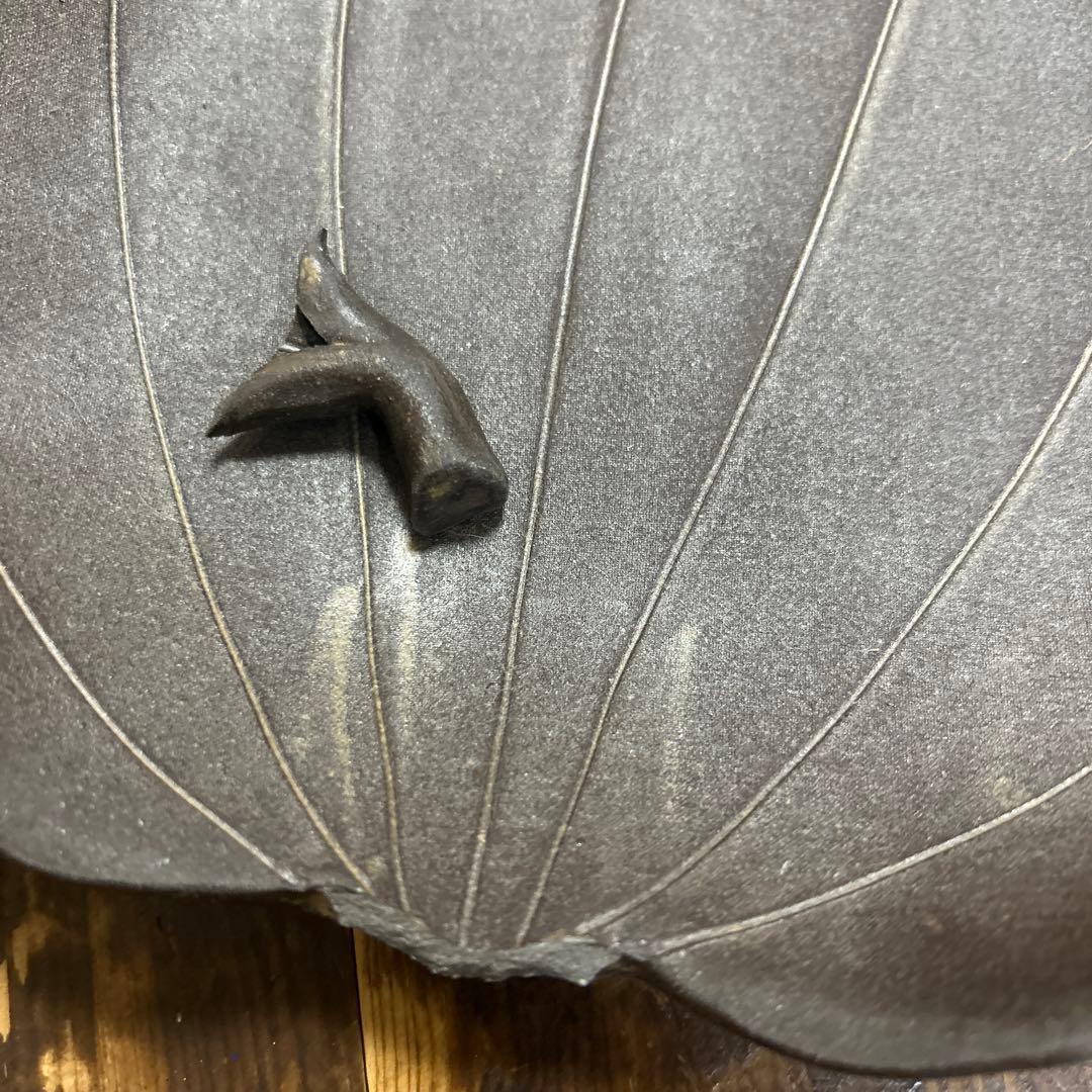 作家　陶芸作家　田中恒子　蓮の葉皿　黒土山帰来葉皿　２枚セット　TSUNE