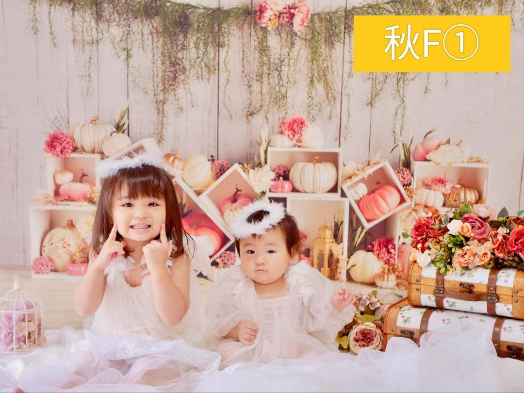 業務用トリミングチョーカー+背景布　ペット撮影用フォトブース　ハロウィン