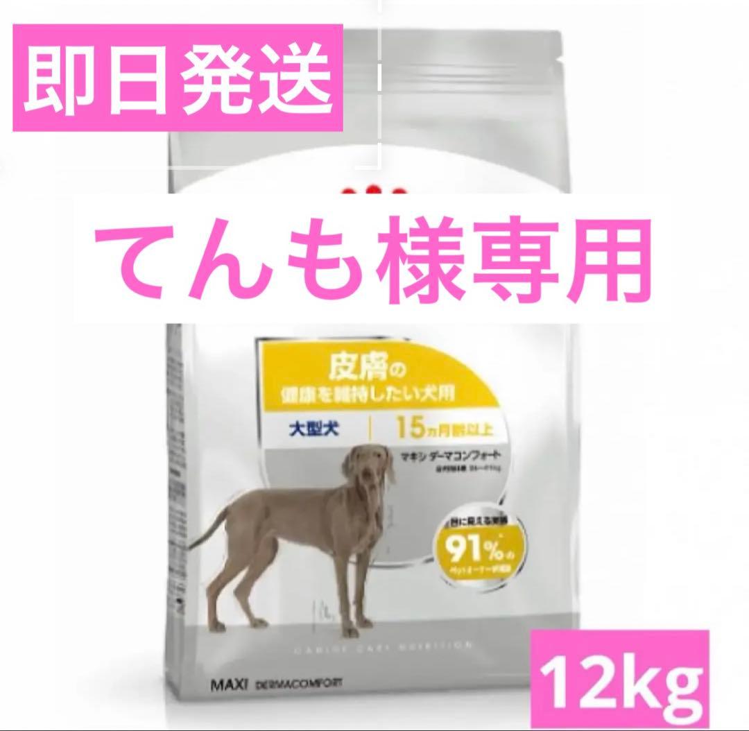-てんも- CANIN マキシダーマコンフォート12kg