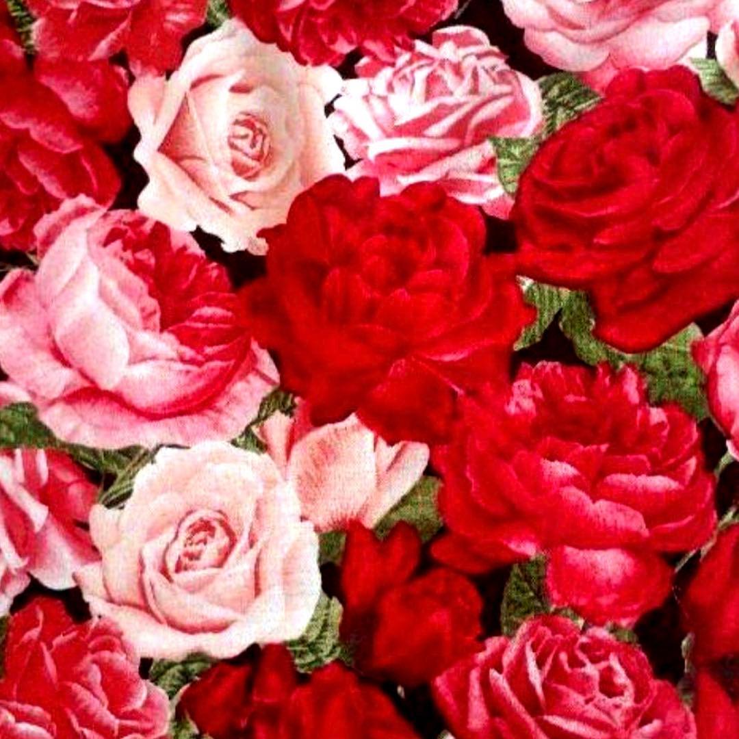 オーダー用 【綿生地】 Color一覧 A-1