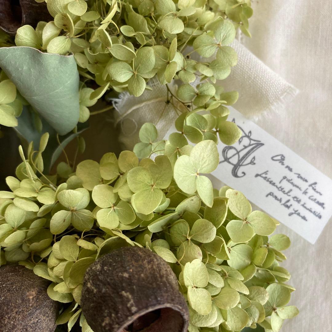 アナベルとルナリアの涼やかグリーンリース (26cm) 普通郵便