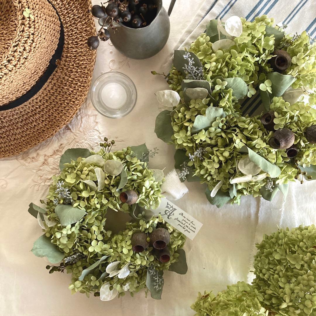 アナベルとルナリアの涼やかグリーンリース (26cm) 普通郵便