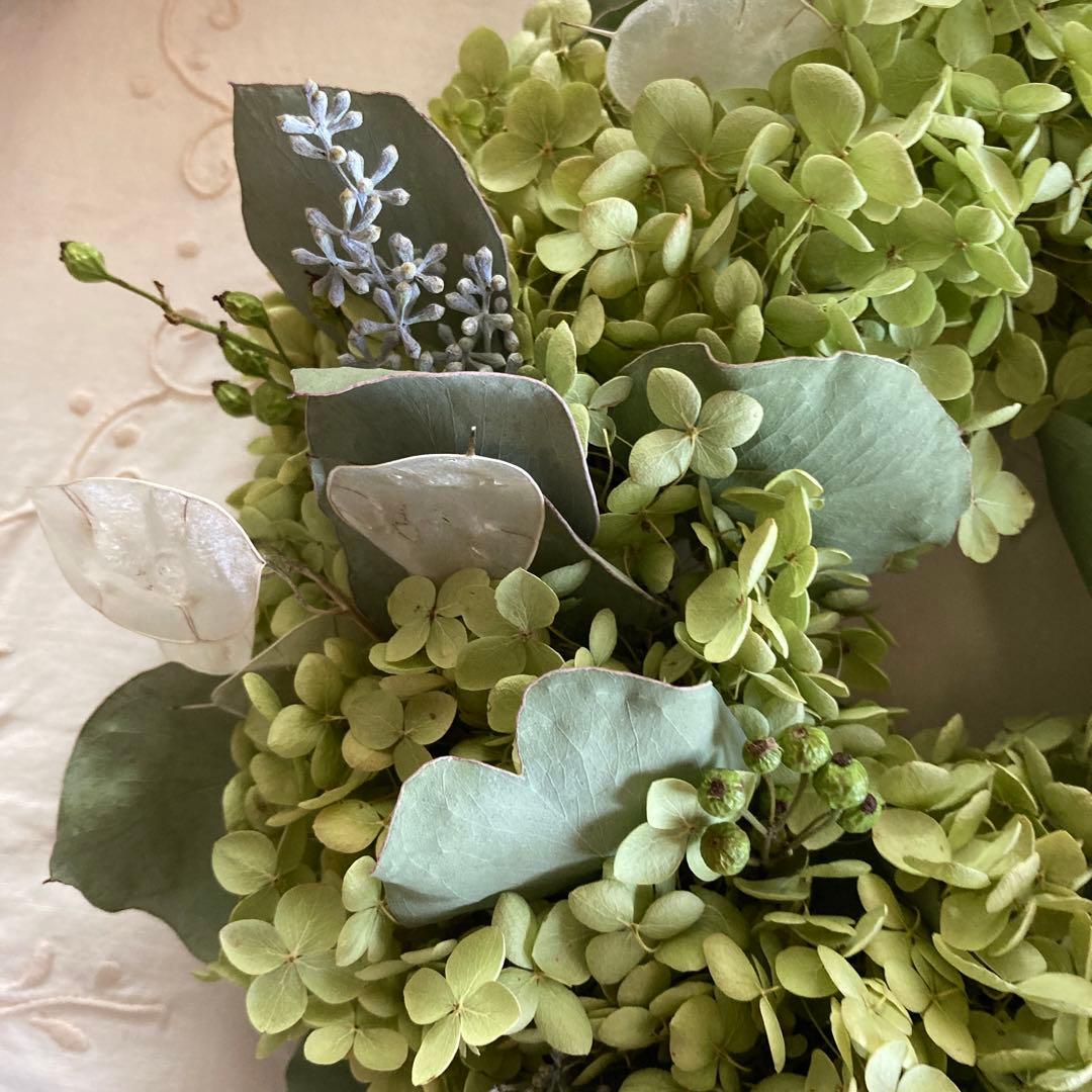 アナベルとルナリアの涼やかグリーンリース (26cm) 普通郵便