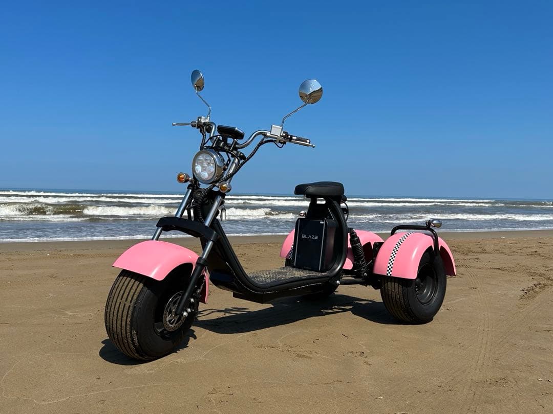 BLAZE TRIKE 電動トライク