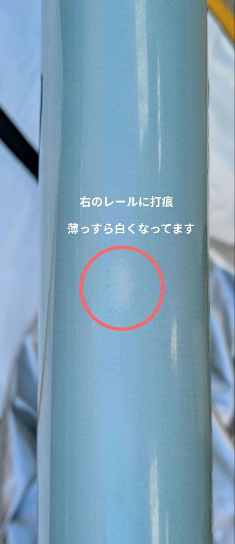 Bing　DNノーズライダー10ft 出品最終日！ケース無しで手元20万円！