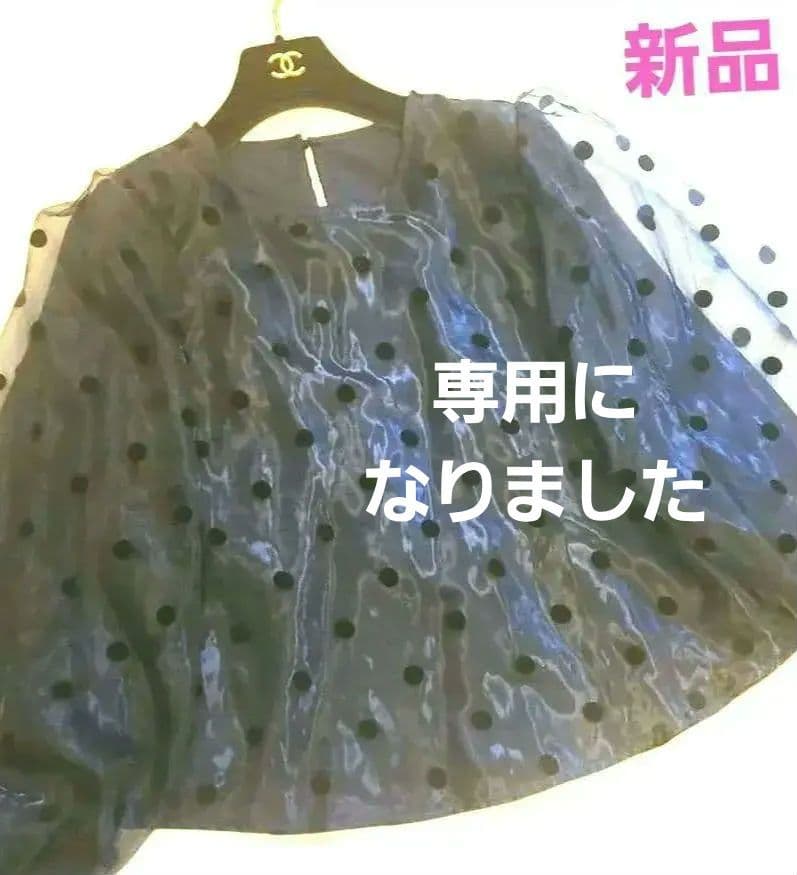 まるちゃん様おまとめ専用オーガンジーの 大人可愛いトップス