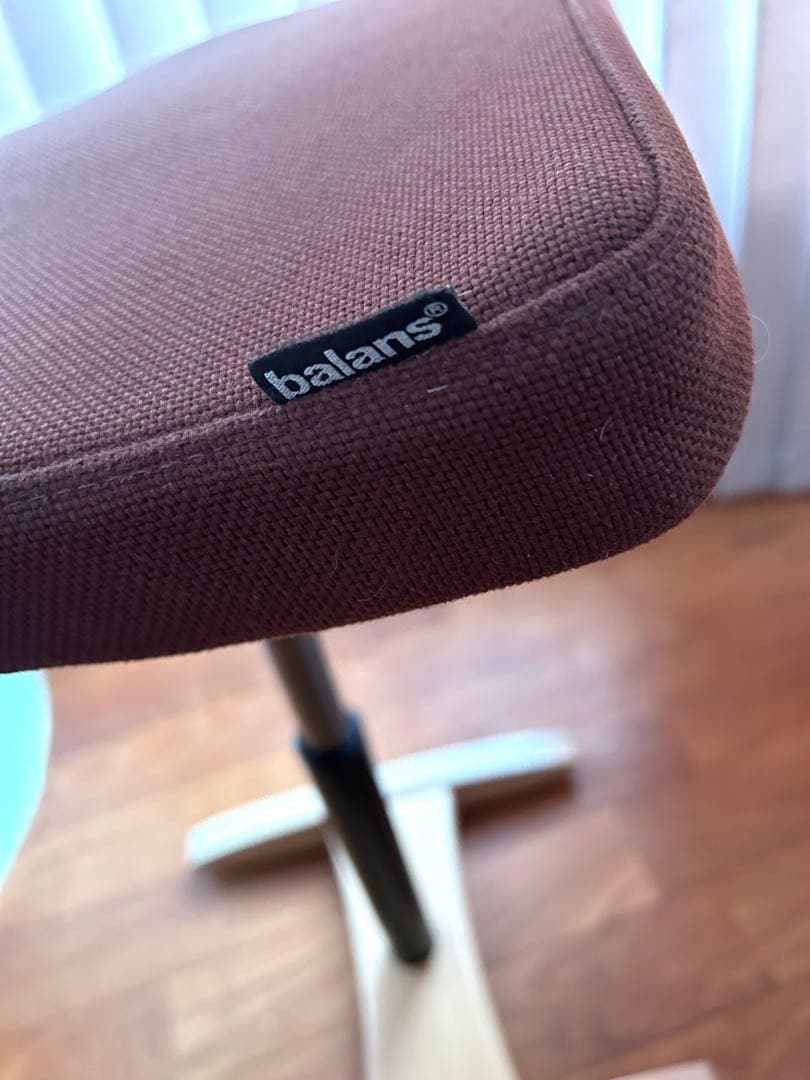 バランス シナジー ブラウン　サカモトハウス