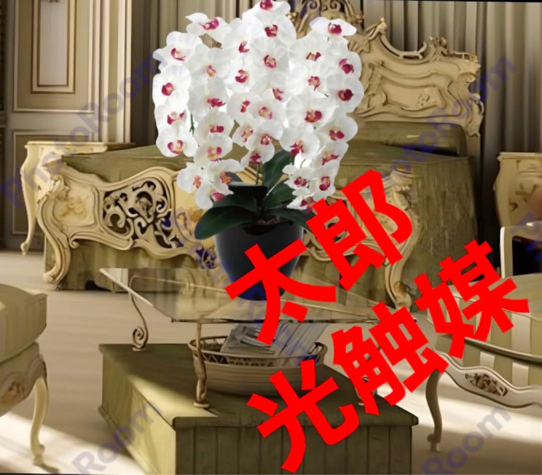 光触媒　人工観葉植物　フェイクグリーン プレミアム胡蝶蘭W/AB