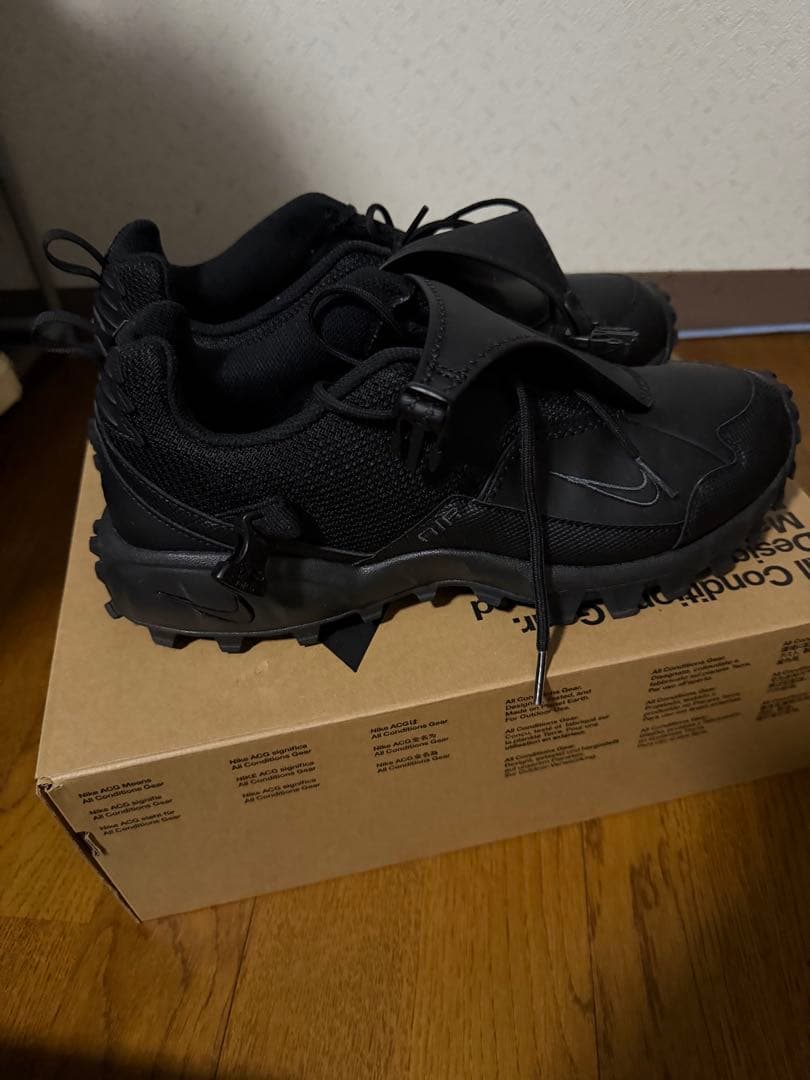 靴 nike ACG phassad 28cm