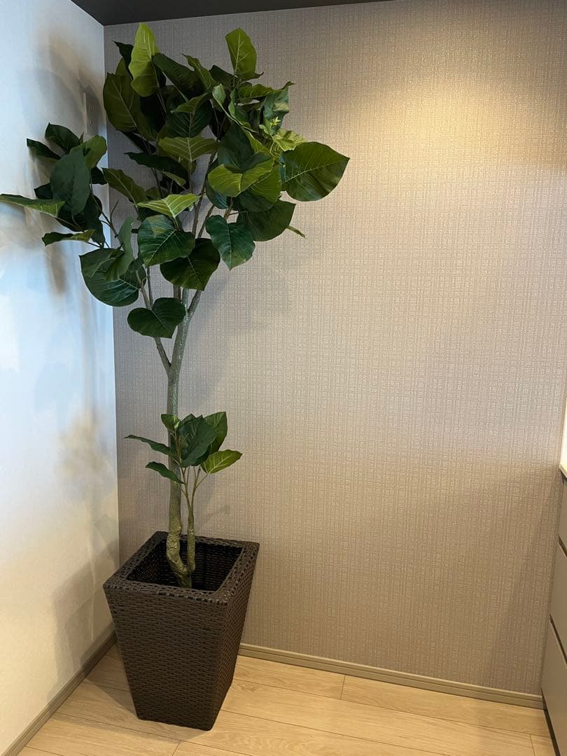 インリア　フェイクグリーン