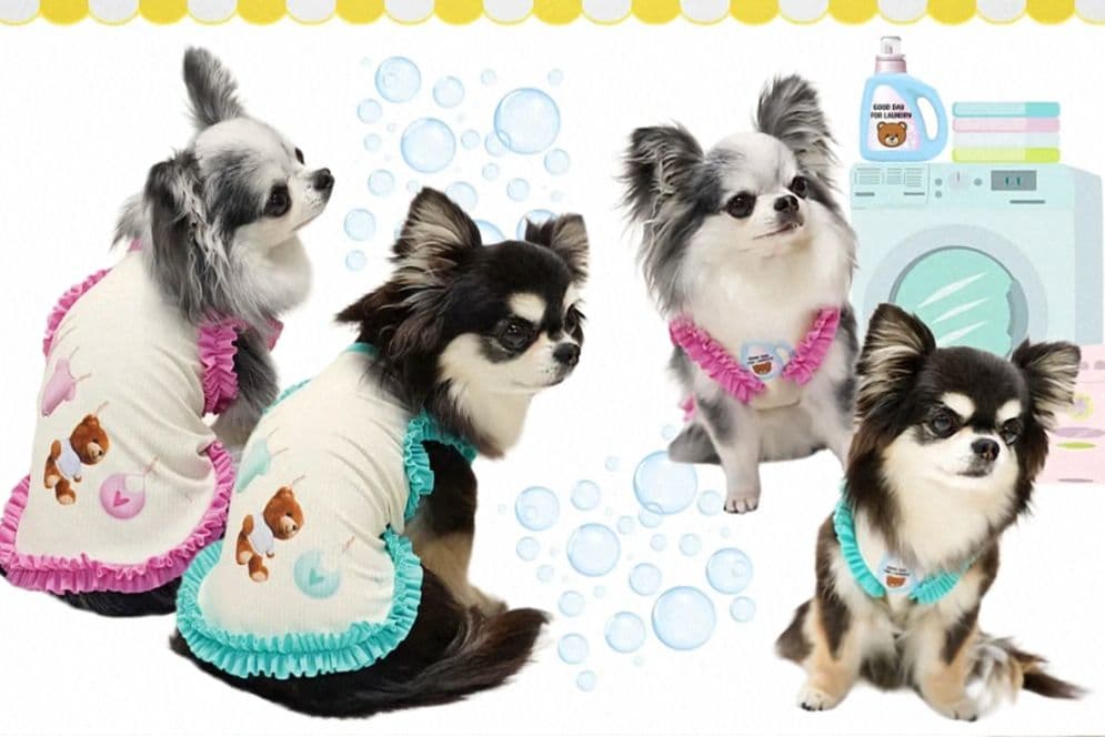 E Laundry BearフリルタンクXS＆マット セットcircusサーカス