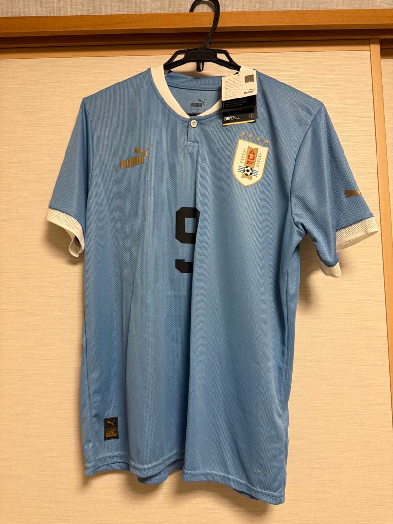 ダルウィン・ヌニェス 9番 ウルグアイ代表