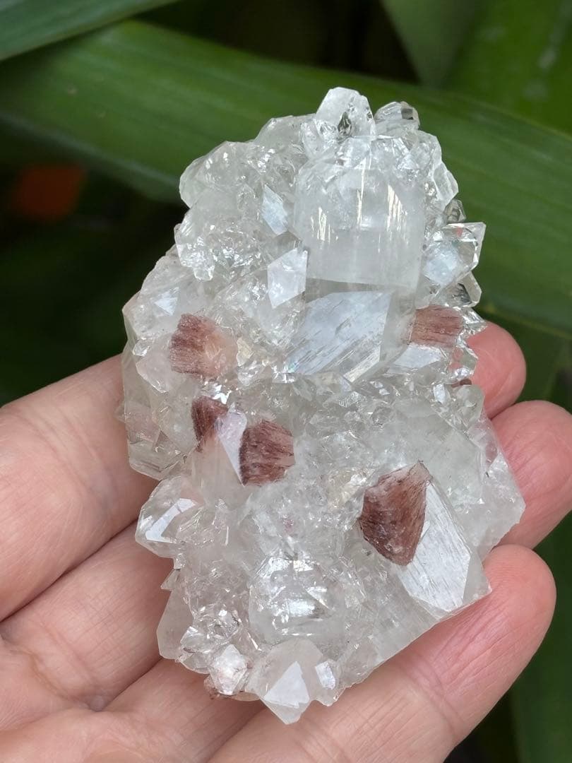 インド産　ダイヤモンドアポフィライト　ヒューランダイト共生　高品質　123g