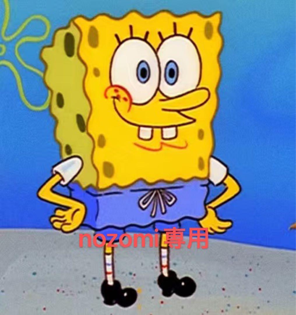nozomi専用o