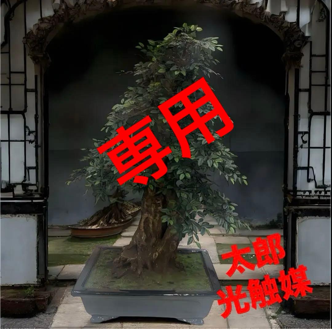 光触媒　人工観葉植物　ウォールグリーン　フェイクグリーン　盆栽　欅　けやき