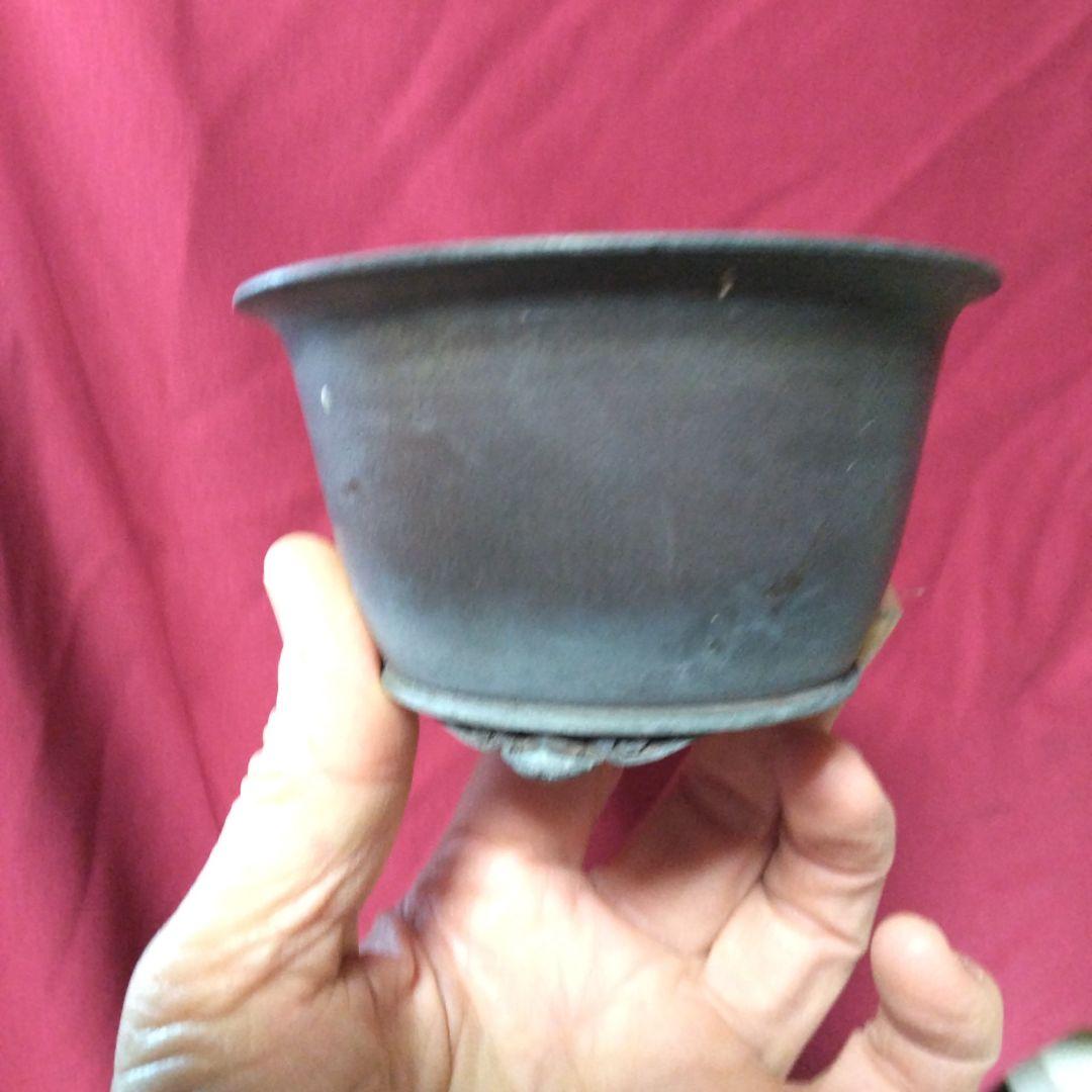 ミニ鉢、盆栽鉢、盆栽小鉢、鉢、植木鉢、山野草鉢、蘭鉢、盆栽