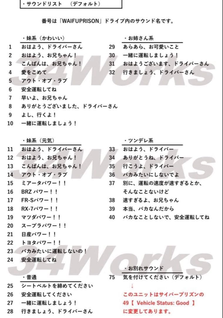 ワイフ刑務所　サイバー音声入り　日本語説明書 付属　フロントパネル交換品