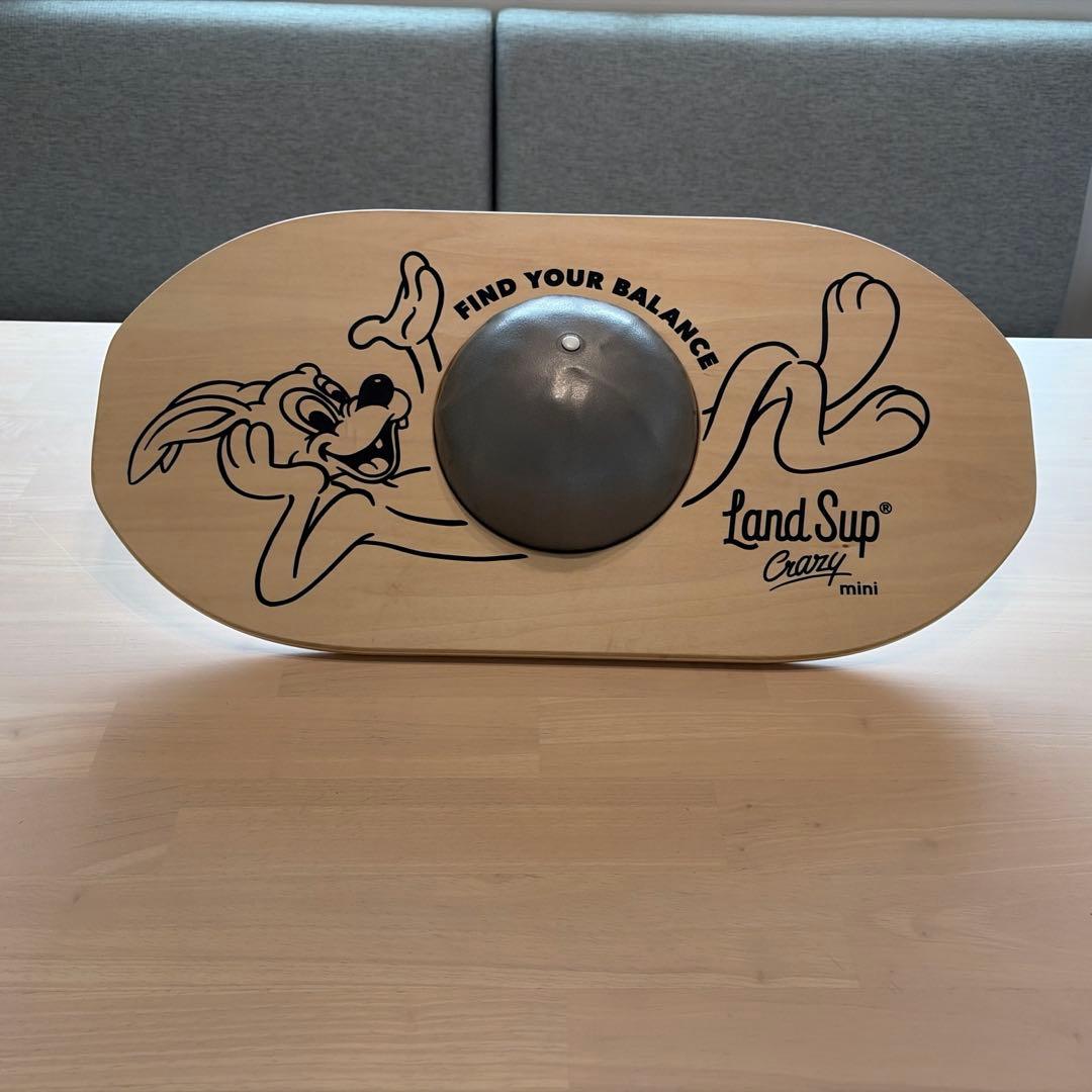 その他 LandSup Crazy mini