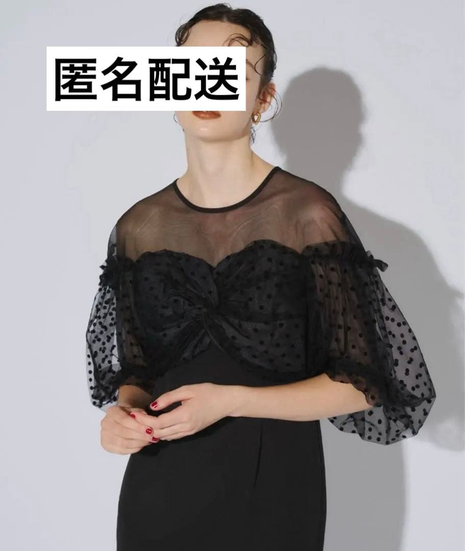 ANDRESED アンドレスド　フロッキーワンピース　S ブラック