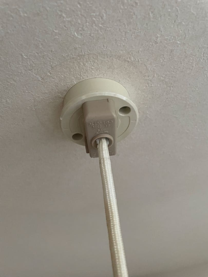 フラワー型シェード 4灯シーリングライト