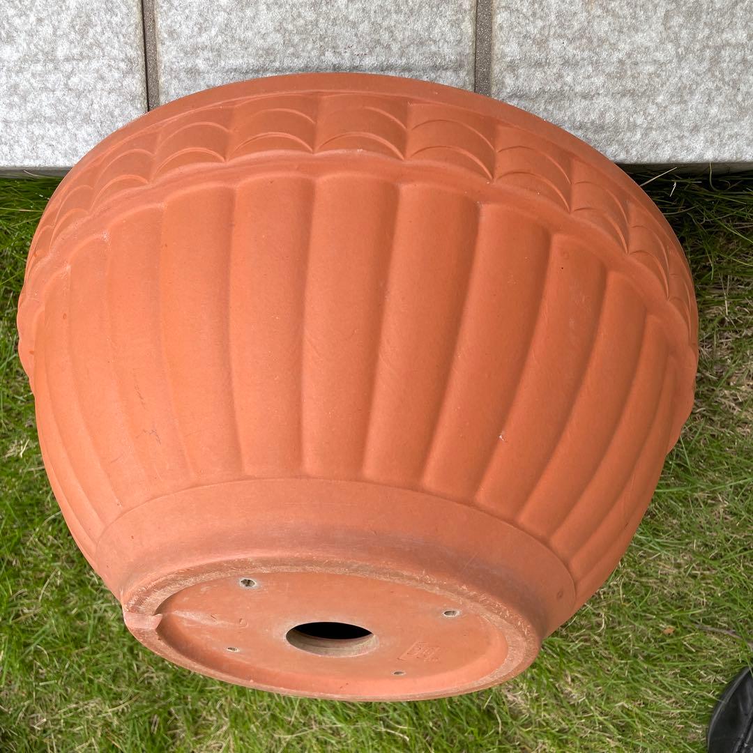 浅型テラコッタ 大きめ 丸鉢 ガーデニング 寄せ植え 植木鉢