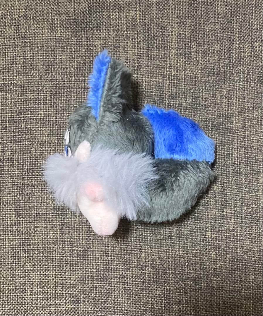 セミオーダー・◎