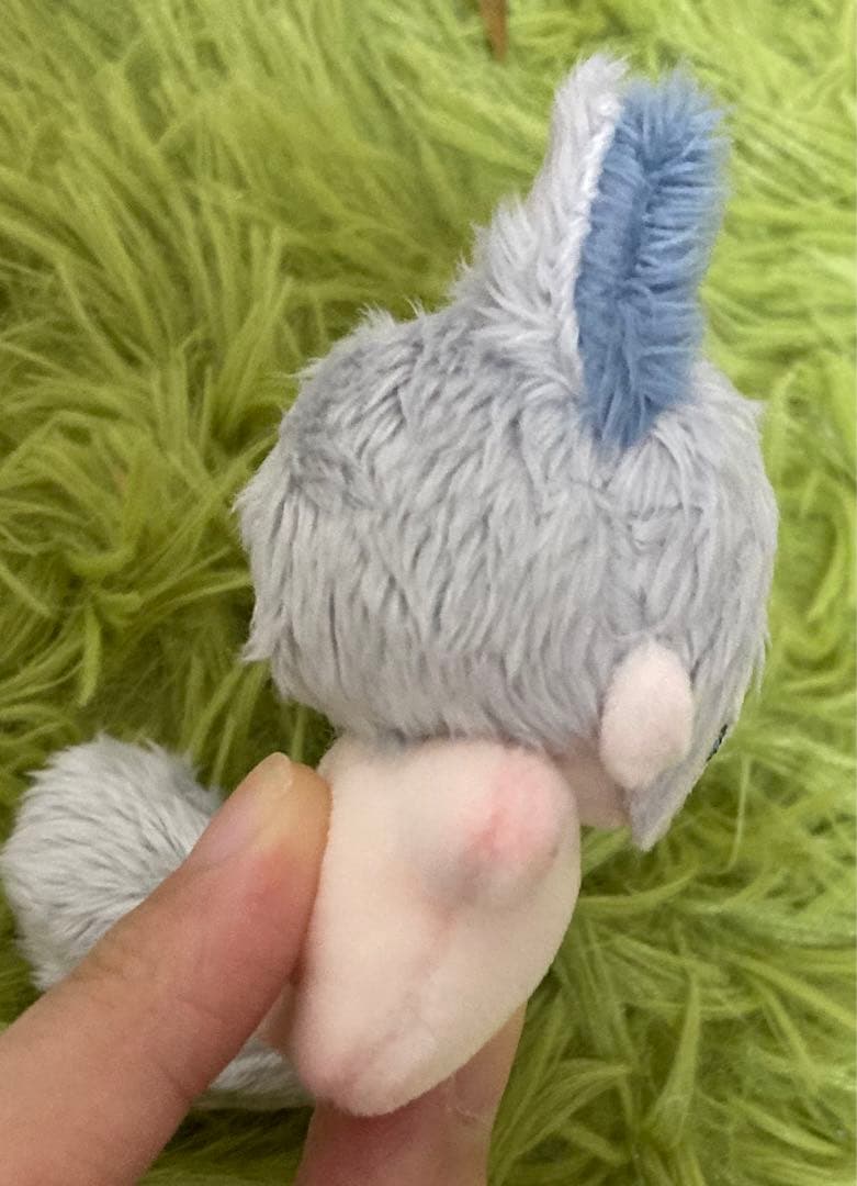 セミオーダー・◎