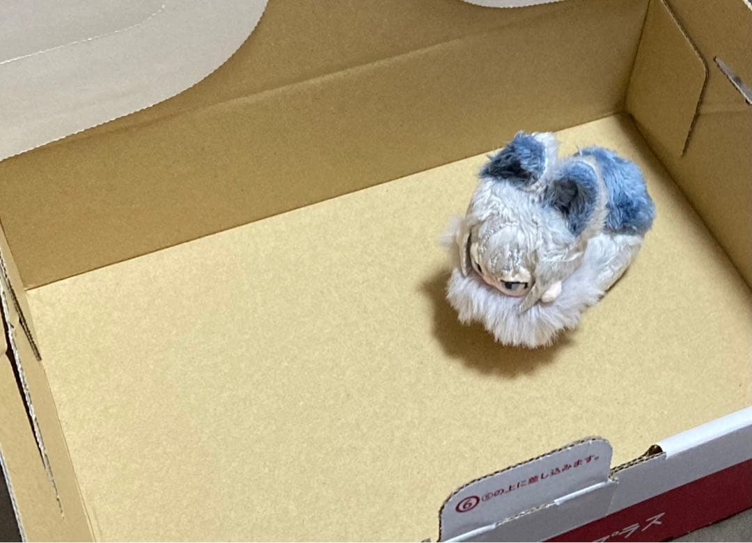 セミオーダー・◎