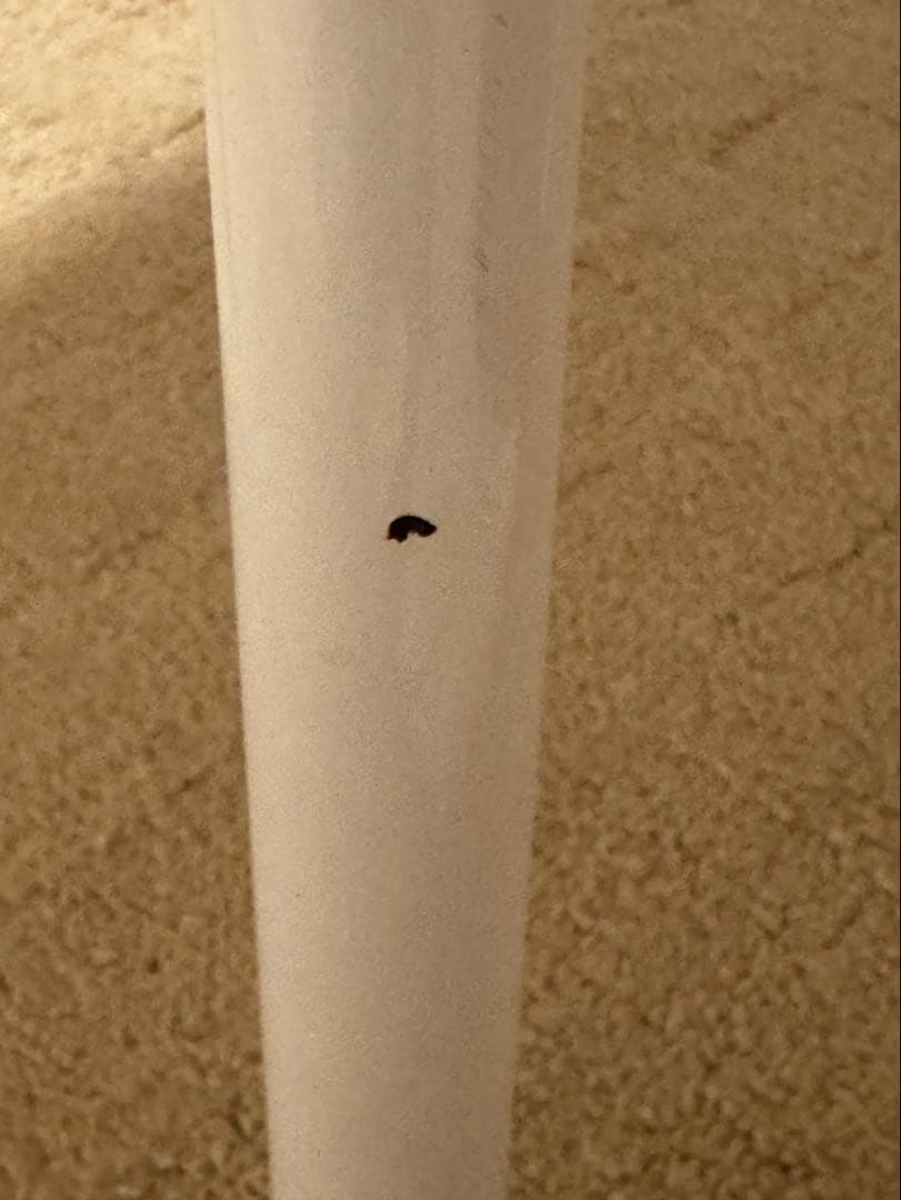 最終値下げ⭐︎廃盤⭐︎IDEE MATIN DINING TABLE 900 OAK