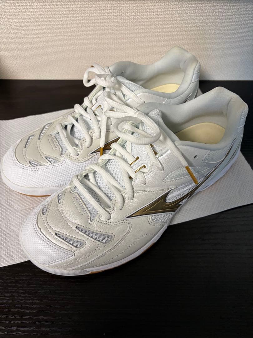 ミズノ ウェーブファングプロ