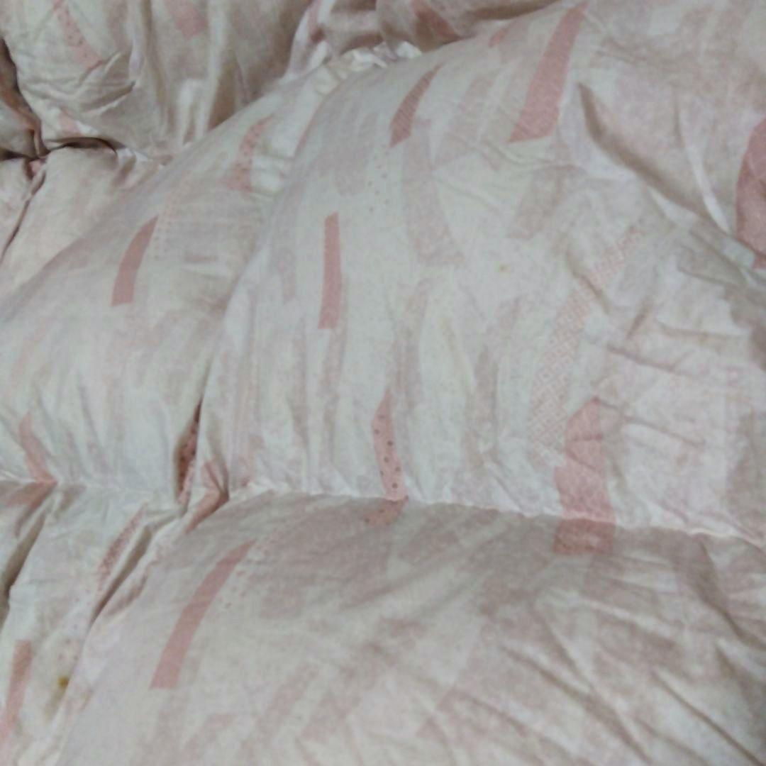 羽毛掛け布団 ダブル 200×220　　 ダウン80%フェザー20% 布団袋あり