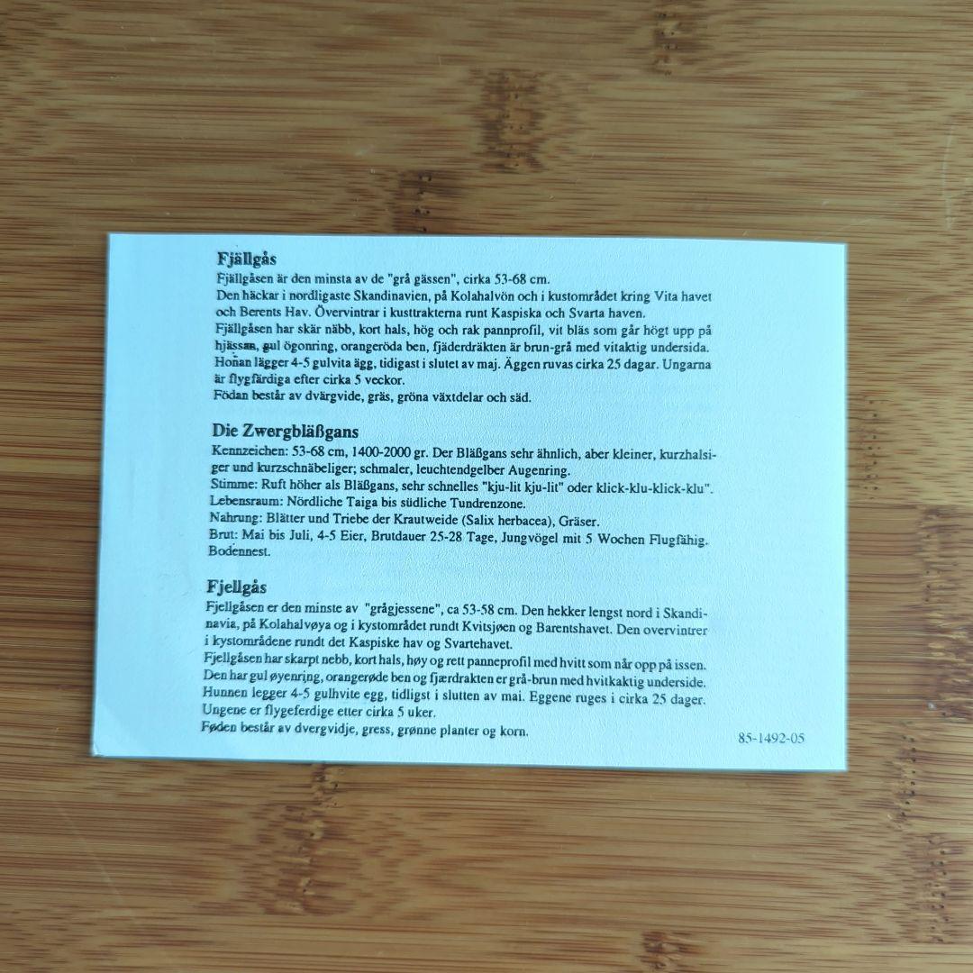 限定4500体 KOSTA BODA WWF 世界自然保護基金 　マガンの親子♪