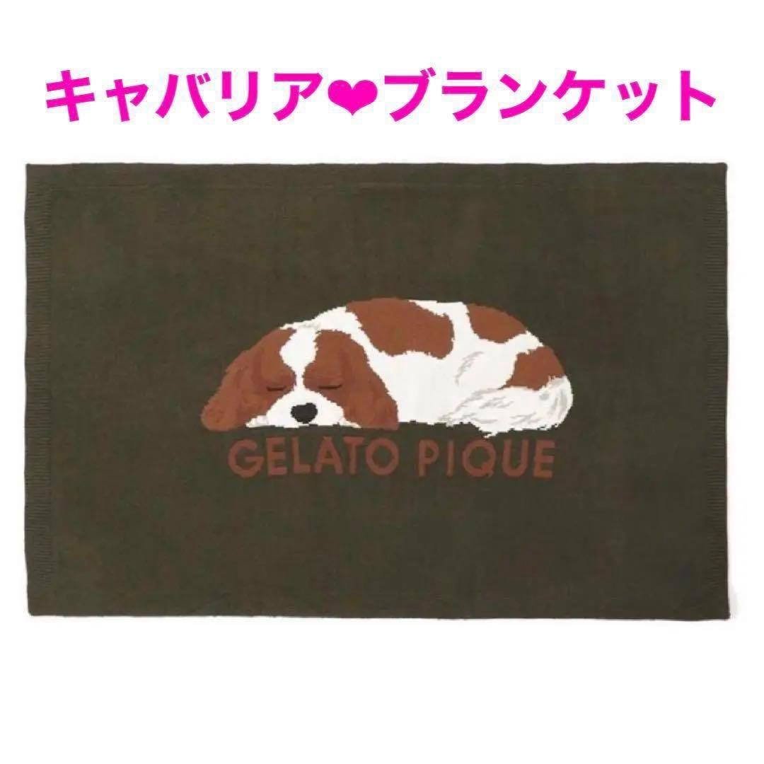 ジェラートピケ SLEEPING DOG ジャガードブランケット キャバリア