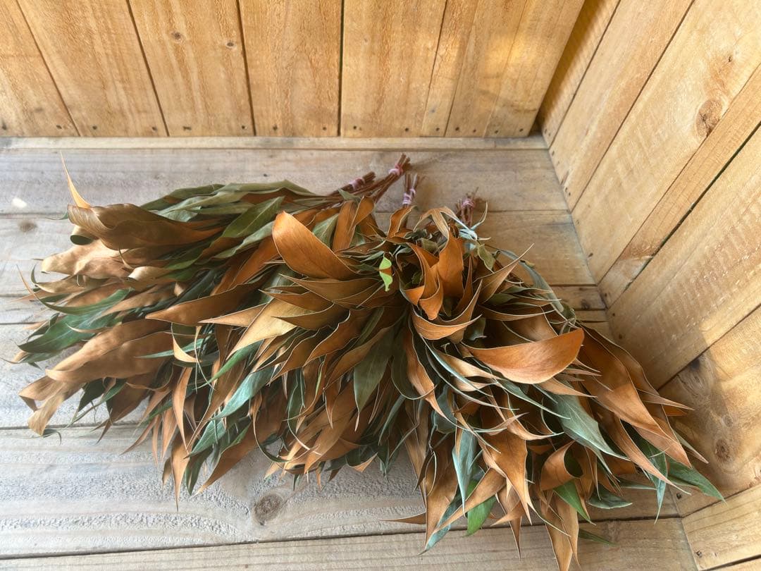 ✨人気花材❗️【Ａ24】50本 グレビリアゴールド　ドライ　リース