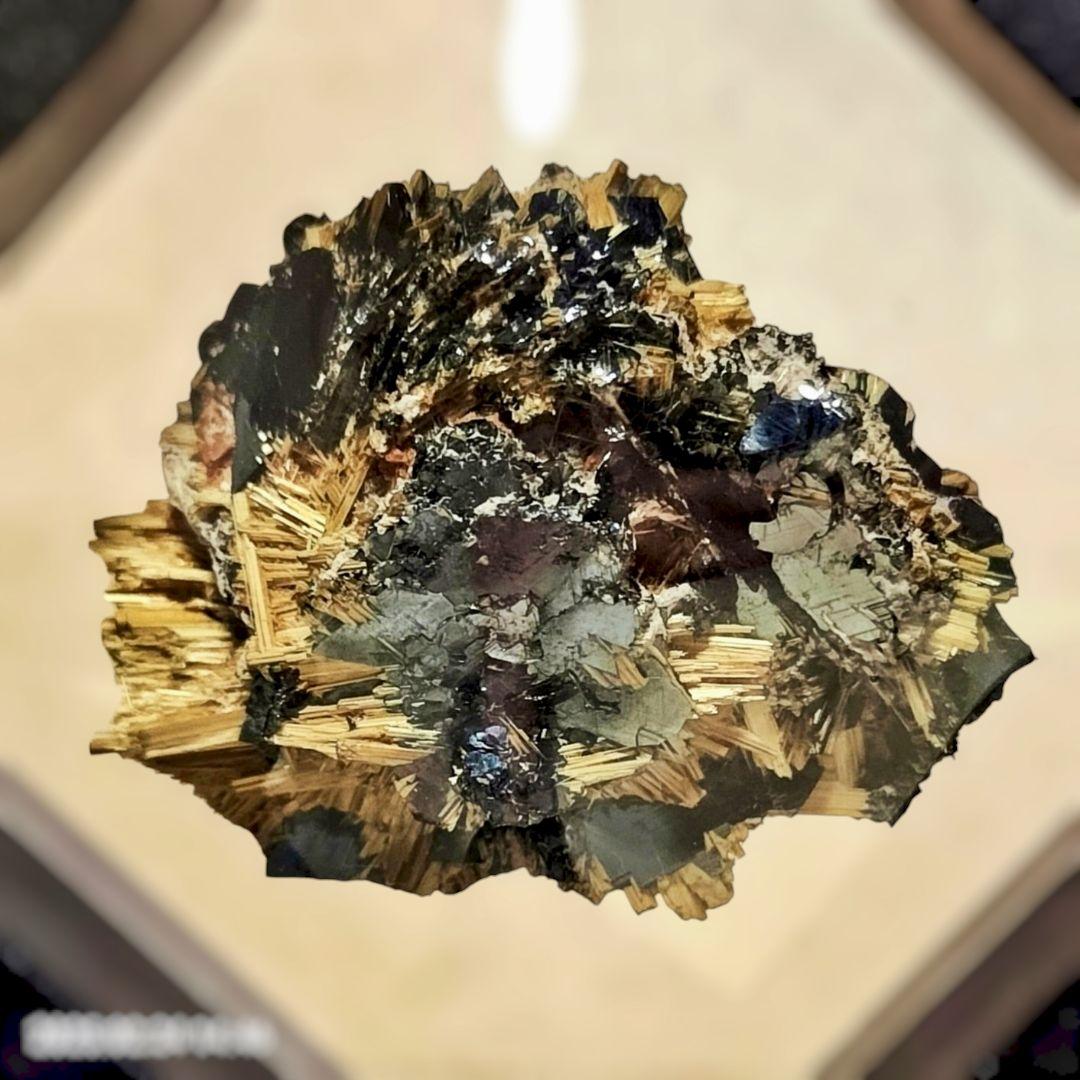 りな フォロー・リピート割引適用価格