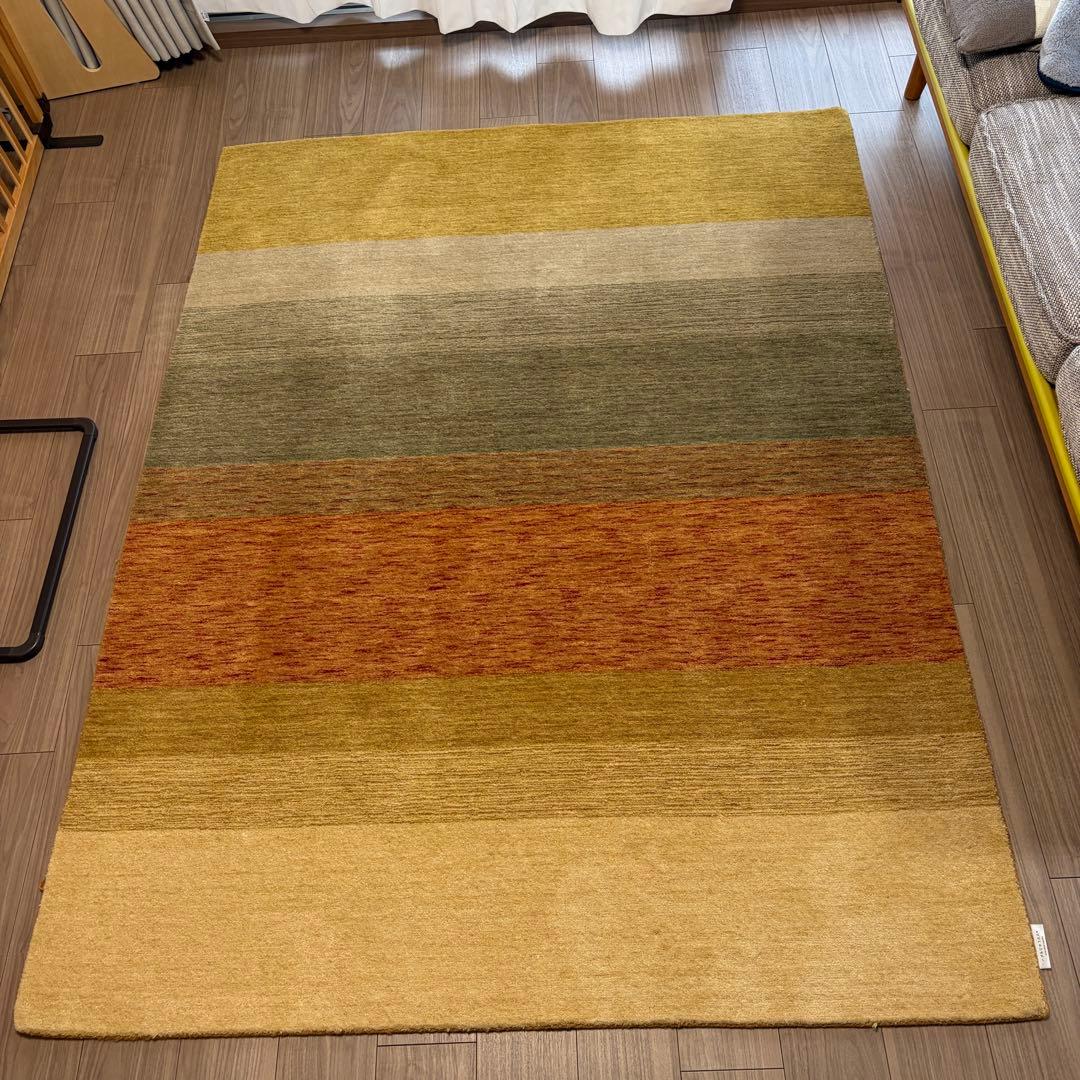 ハグみじゅうたん てざわりコレクションシリーズ ER6175-170 Mサイズ