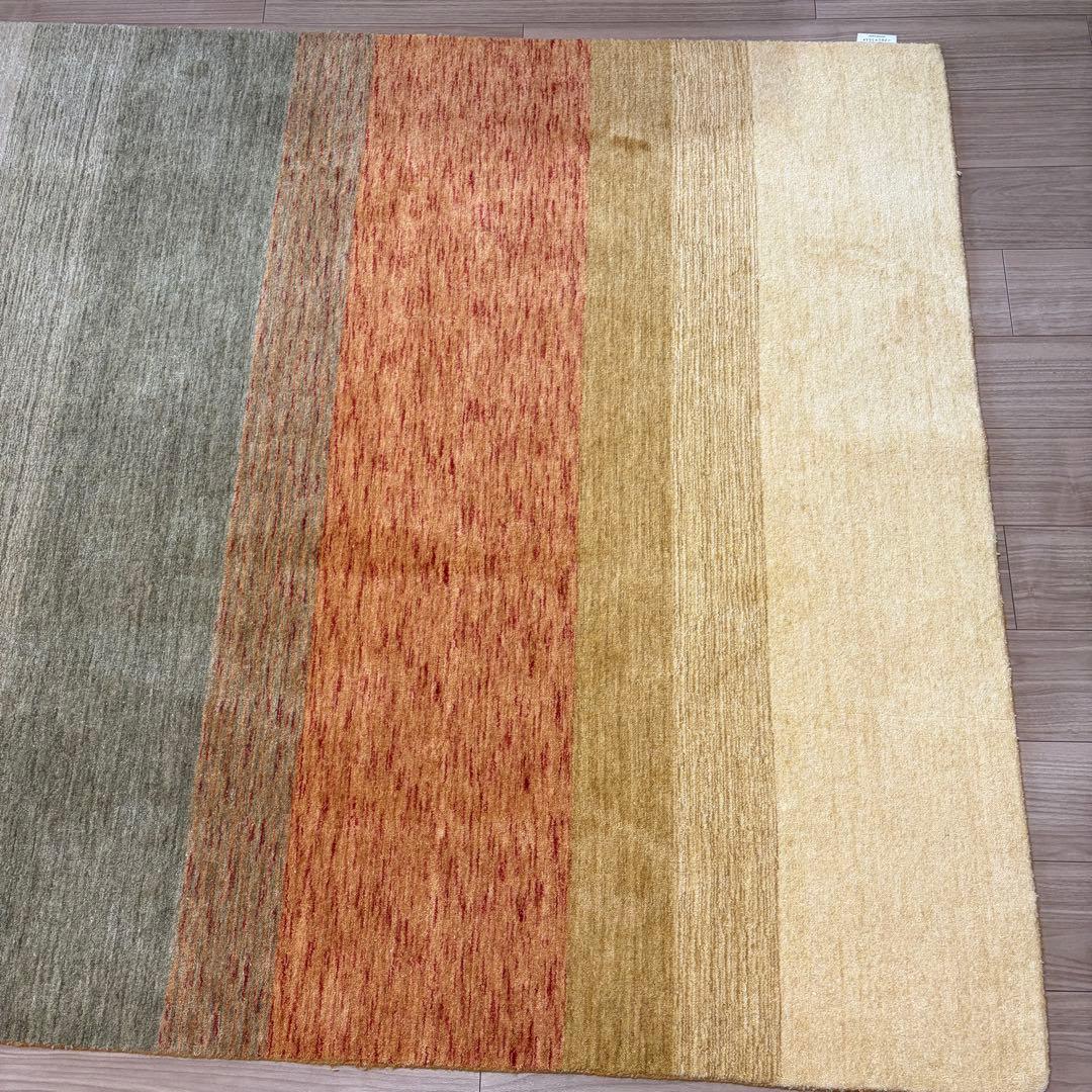 ハグみじゅうたん てざわりコレクションシリーズ ER6175-170 Mサイズ