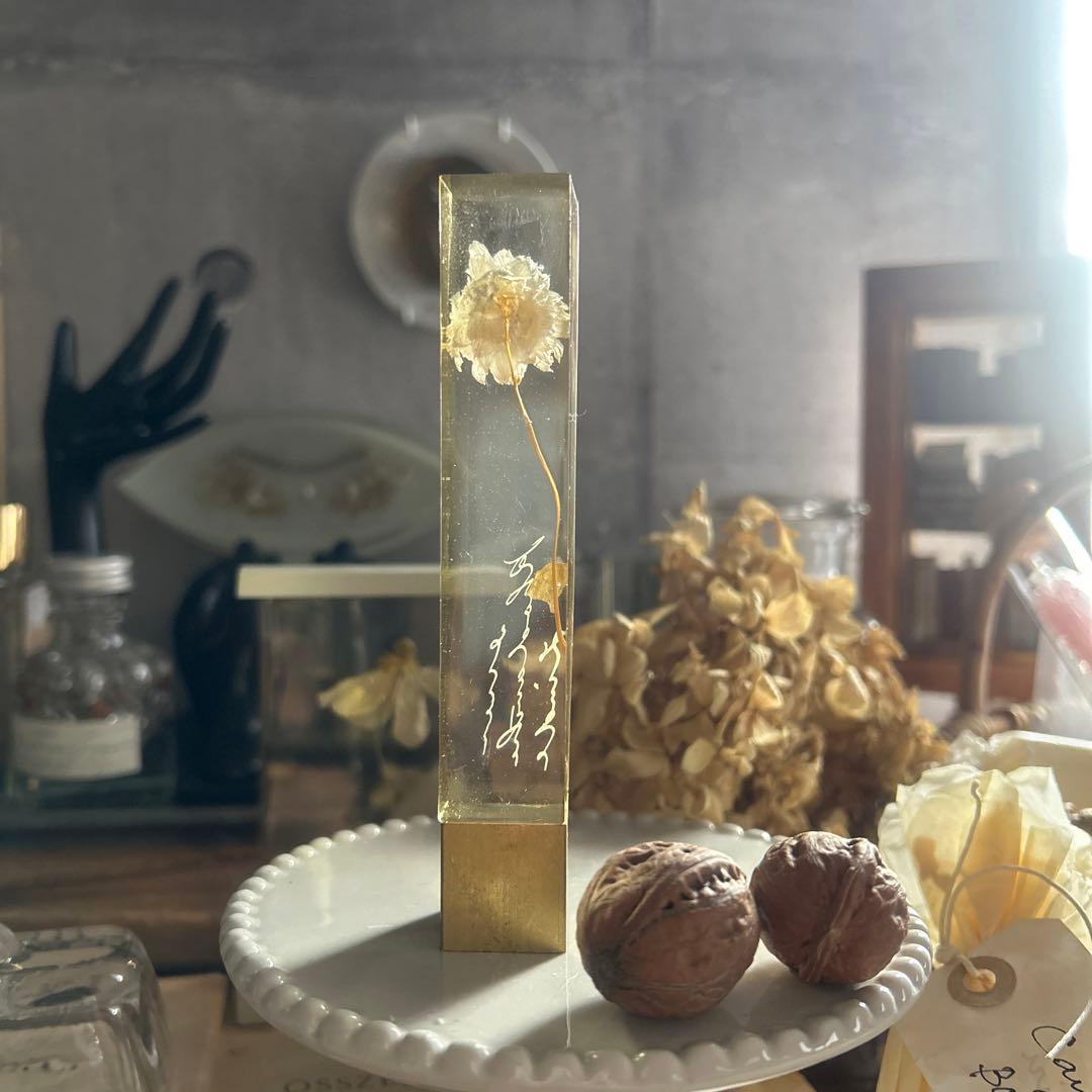 ローダンセ 真鍮 樹脂標本 errer 植物標本