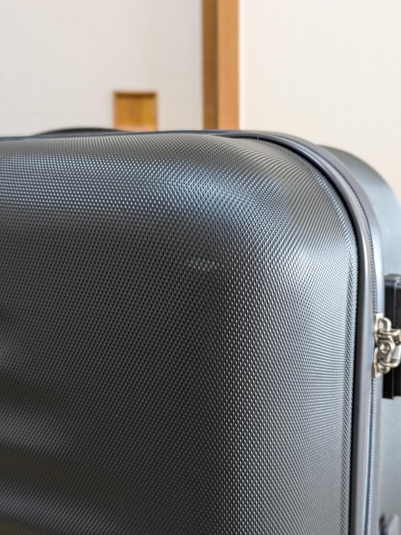 アメリカンツーリスター ツイストウェーブス スピナー77 Lサイズ