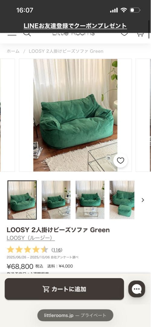 LOOSY 2人掛けビーズソファGreen グリーン