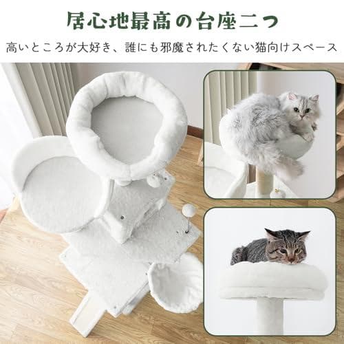 AIFY省スペース キャットタワー スリム 安定強化構造 大型猫用 多頭飼い p