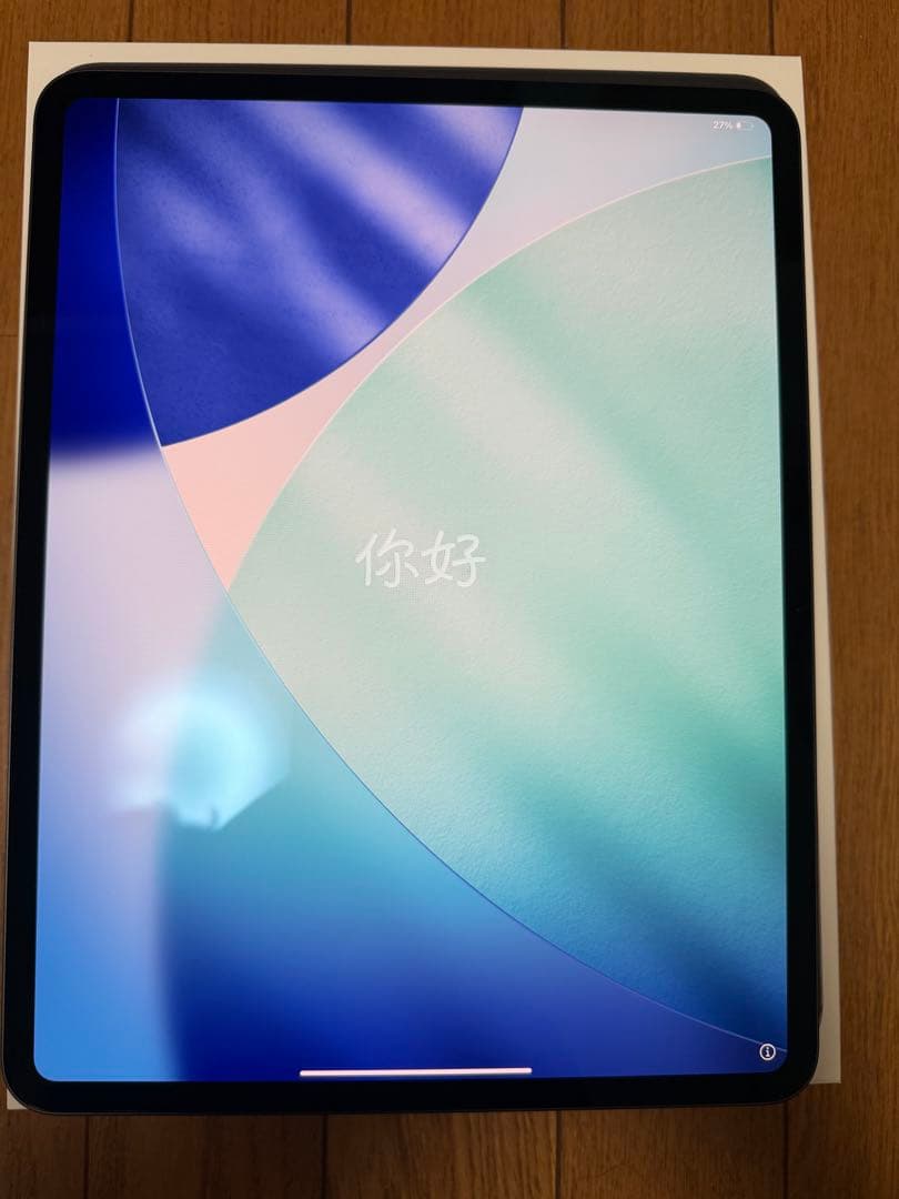 iPad Pro 13インチ 第1世代 256GB スペースグレー wifi