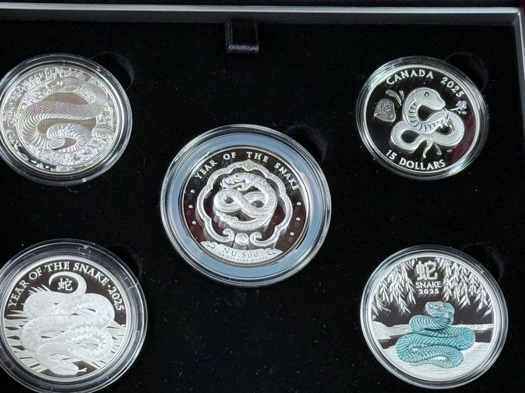 各国 2025年 巳年蛇図 銀貨5種セット プルーフ
