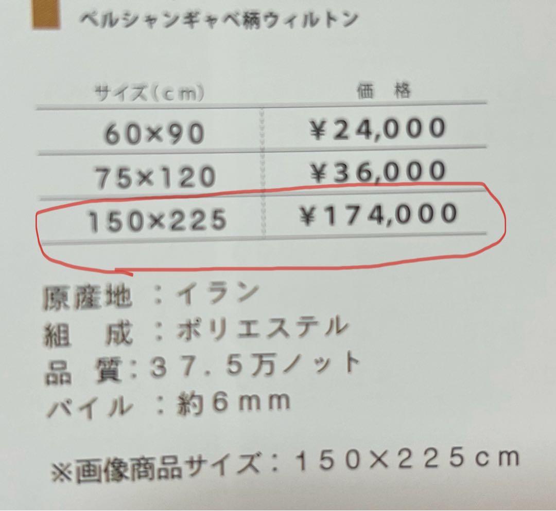 新品☆ウィルトンラグ カーペット 絨毯 高級ラグ イラン産 ギャべ柄