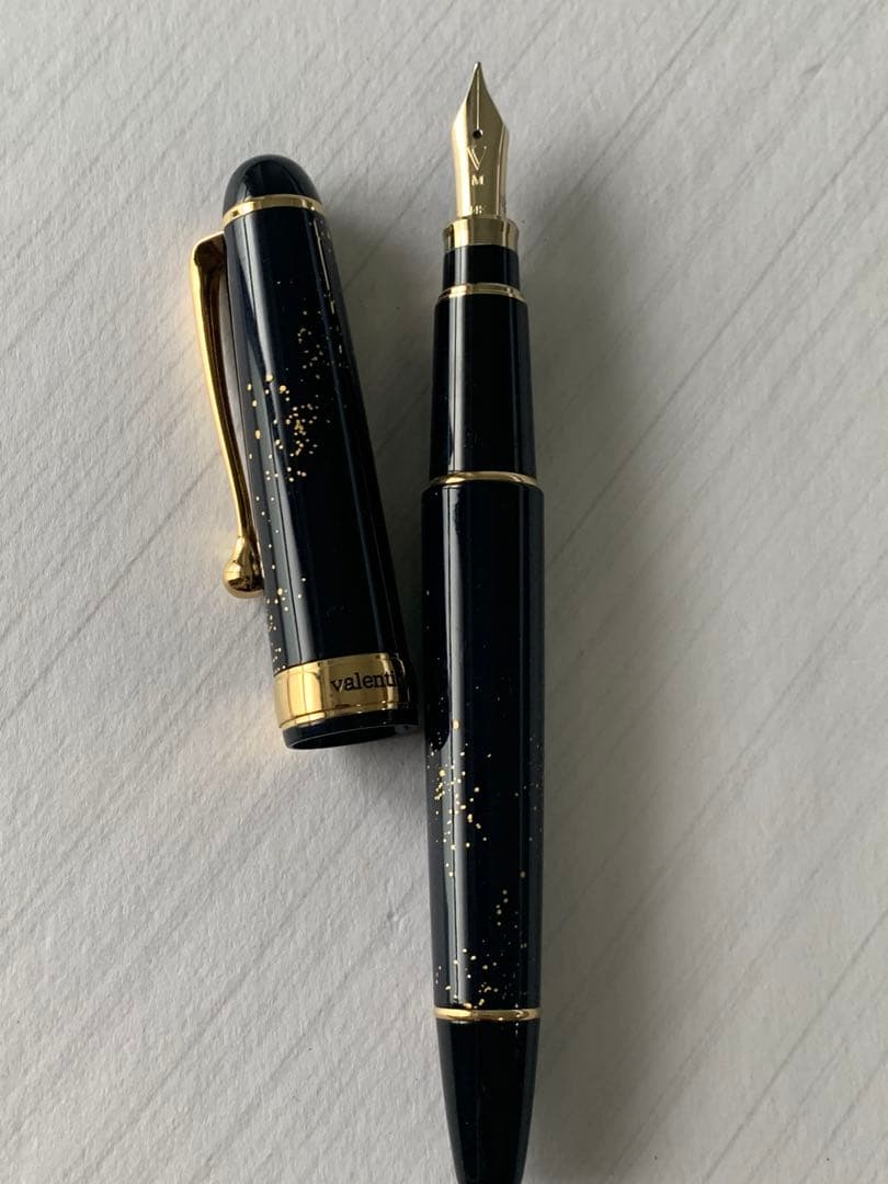 VALENTINO 万年筆 14Kペン先