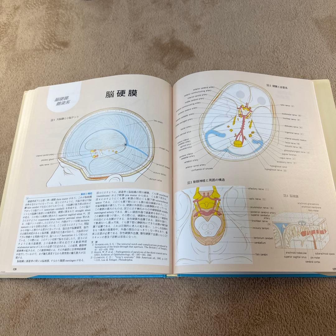 医学書　臨床のための神経機能解剖学　定価:税込¥17,600