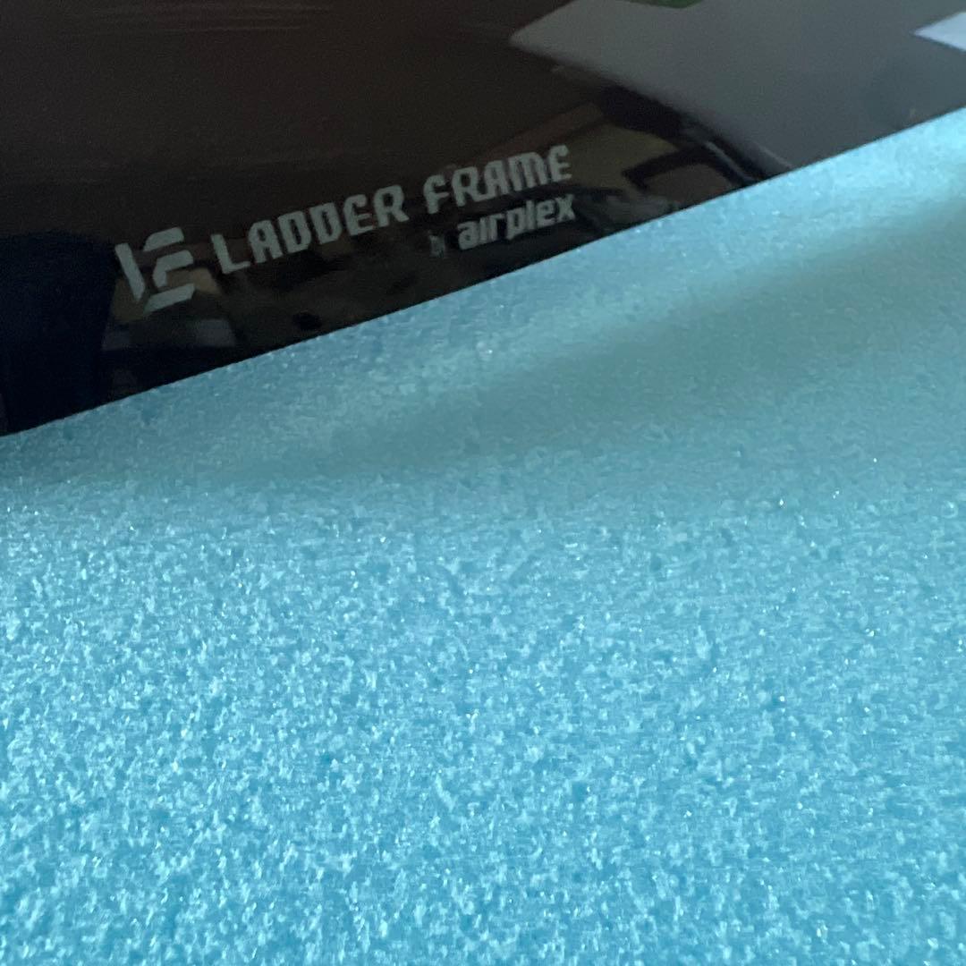 ランドクルーザー プラド バグガード airplex